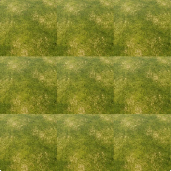 Source texture with visible seam